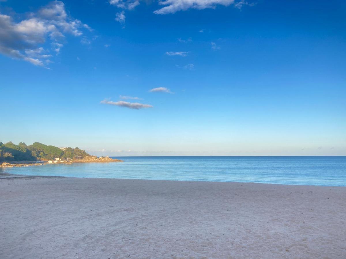 Les Lodges De La Plage U Dragulinu 사리 솔렌자라 외부 사진
